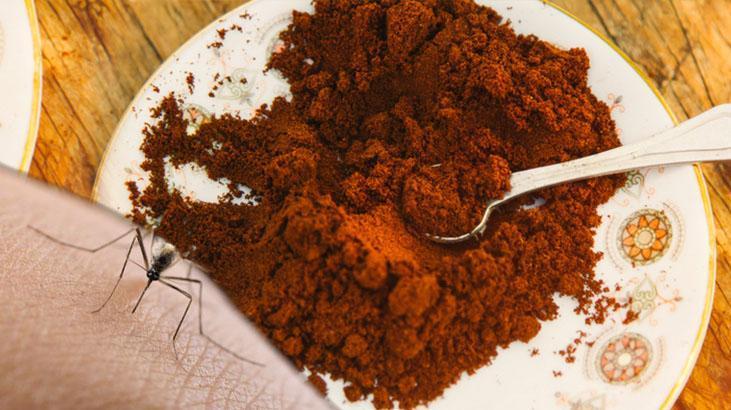 Sivri sinek istilasından koruyan tek karışım! İçine kahve ekleyin, anında kaçışıyorlar Haber gorseli